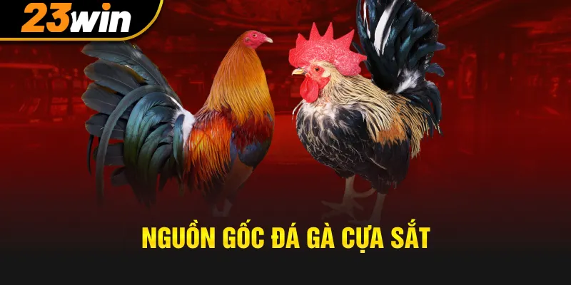 Nguồn gốc đá gà cựa sắt