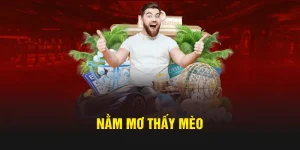 thumb nằm mơ thấy mèo