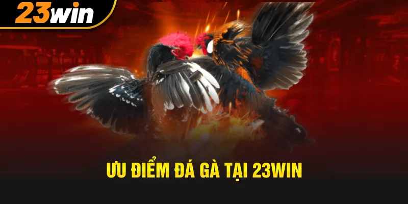 Ưu điểm khi chơi đá gà tại 23win